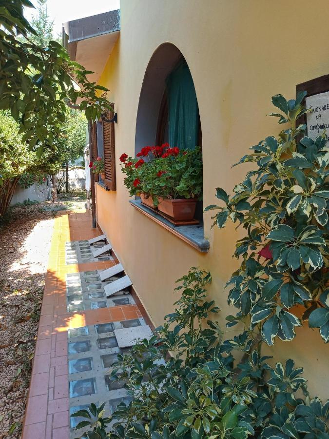 B&B Villa C'Era Una Volta 马里纳迪马萨 外观 照片