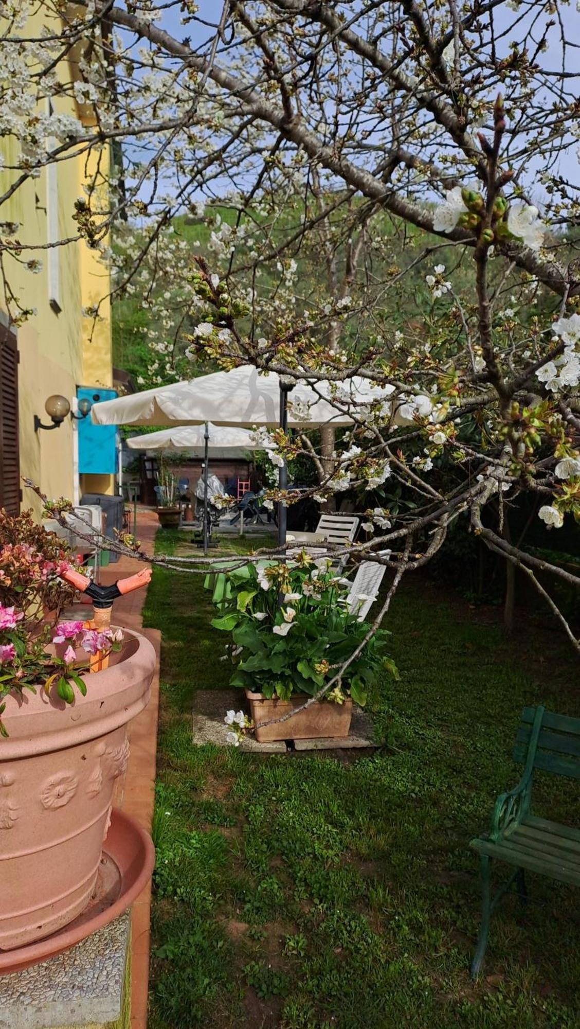 B&B Villa C'Era Una Volta 马里纳迪马萨 外观 照片